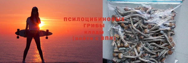 ALPHA-PVP Богородицк