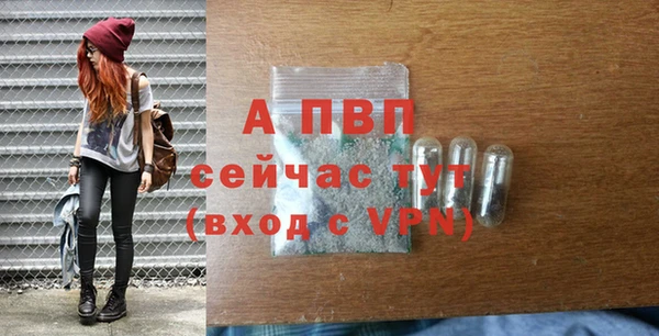 гашик Беломорск