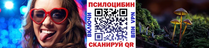 это Telegram  Кудымкар  Псилоцибиновые грибы Psilocybe 